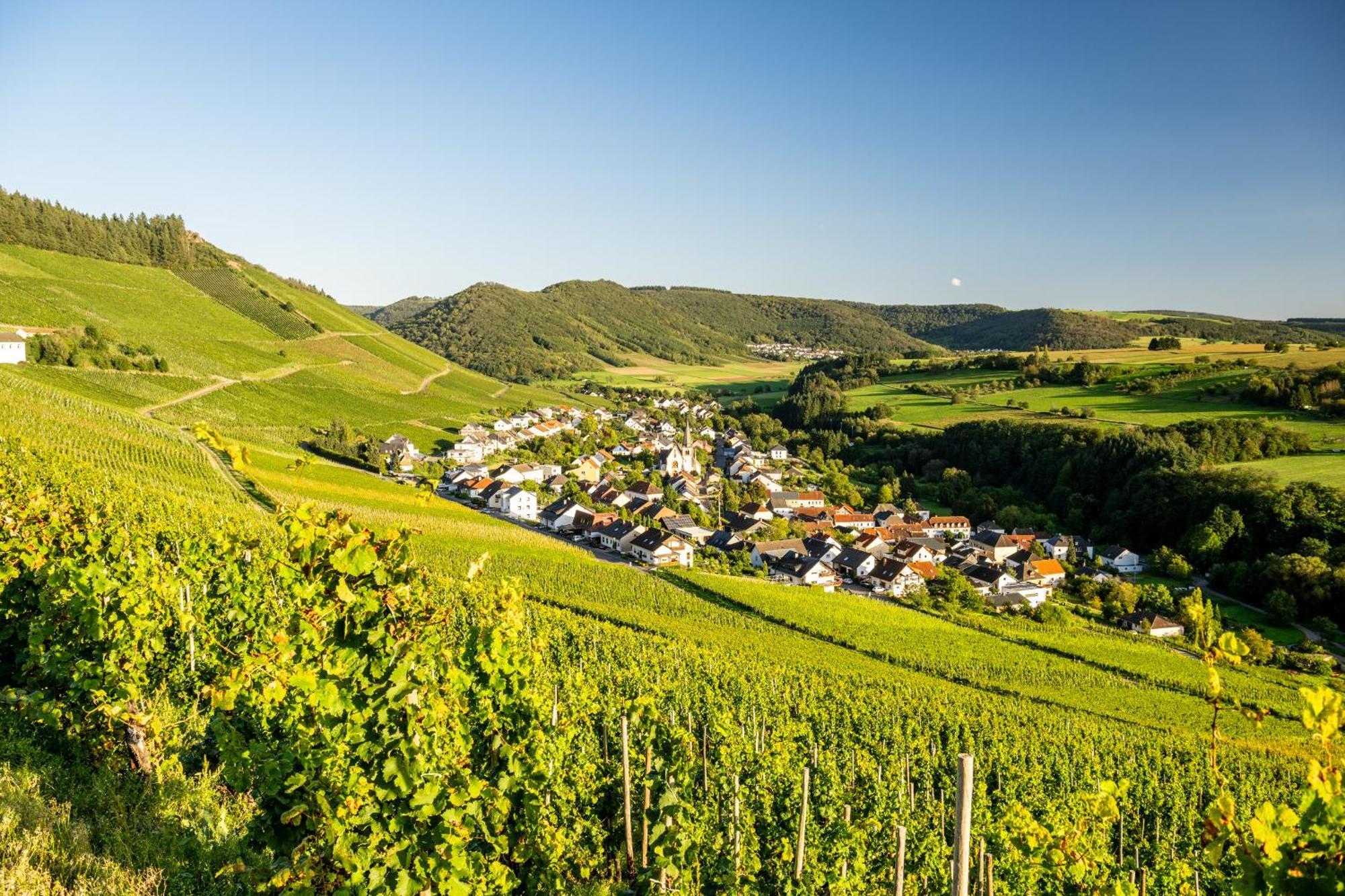 Weinhotel Restaurant Klostermuehle Ockfen Kültér fotó