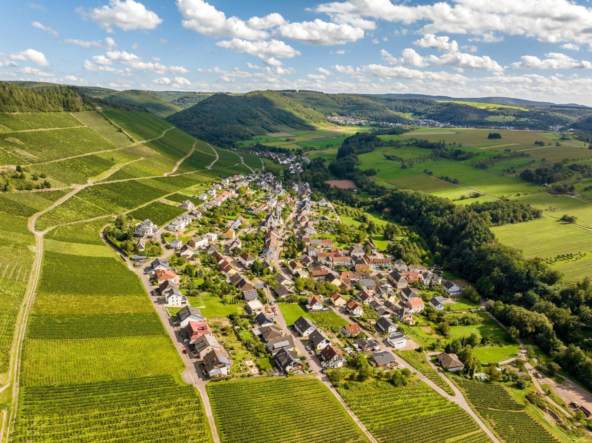 Weinhotel Restaurant Klostermuehle Ockfen Kültér fotó